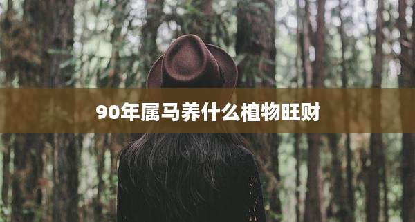 90年属马养什么植物旺财