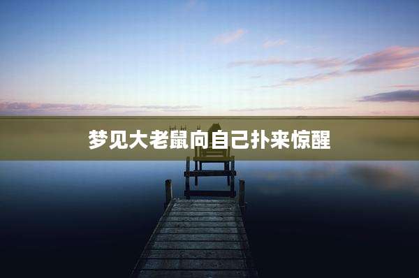 梦见大老鼠向自己扑来惊醒