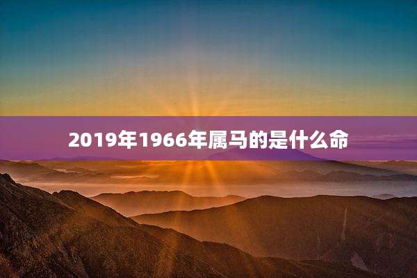 2019年1966年属马的是什么命