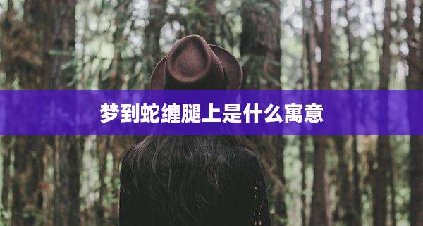 梦到蛇缠腿上是什么寓意