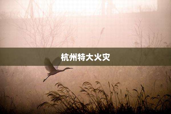 杭州特大火灾