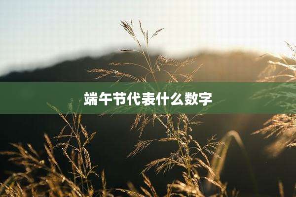 端午节代表什么数字
