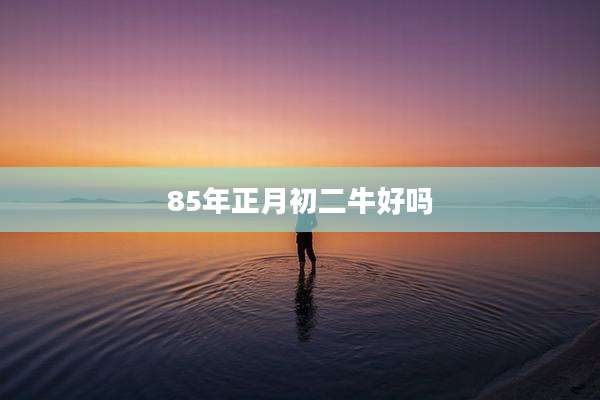 85年正月初二牛好吗