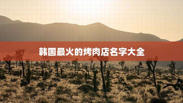韩国最火的烤肉店名字大全