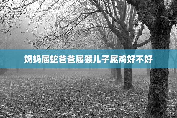 妈妈属蛇爸爸属猴儿子属鸡好不好