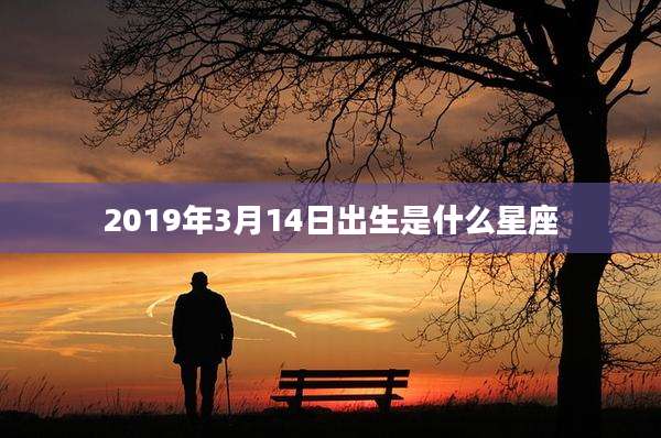 2019年3月14日出生是什么星座