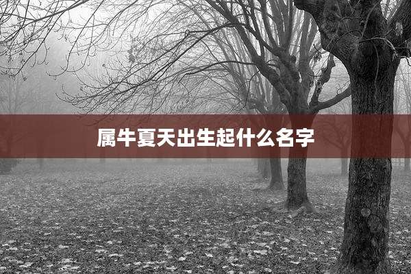 属牛夏天出生起什么名字