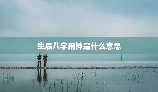 生辰八字用神是什么意思