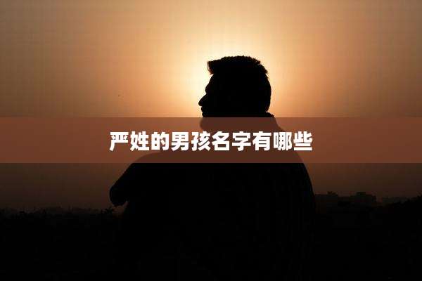 严姓的男孩名字有哪些