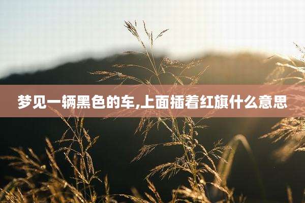 梦见一辆黑色的车,上面插着红旗什么意思