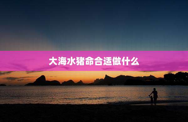 大海水猪命合适做什么
