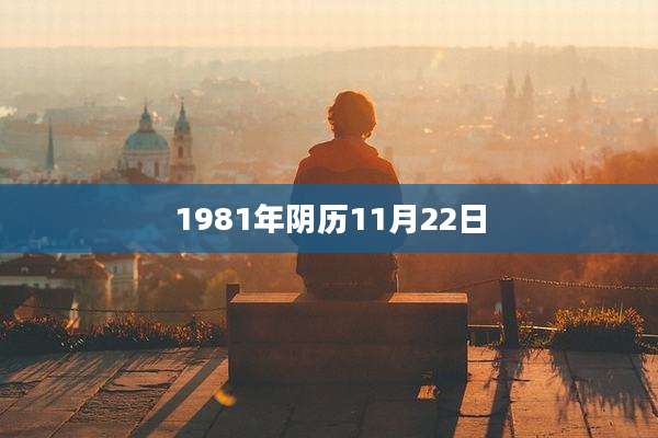 1981年阴历11月22日