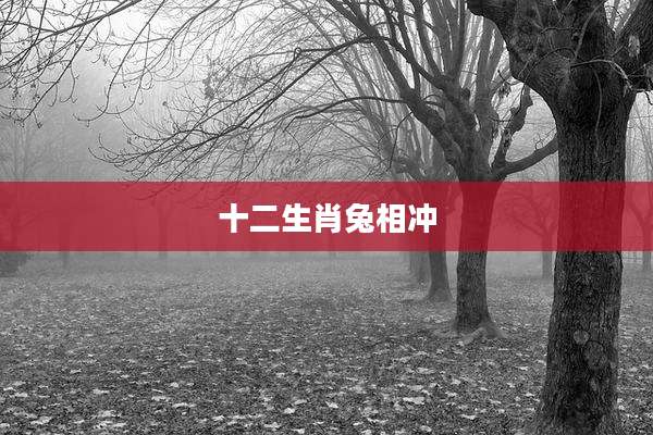 十二生肖兔相冲