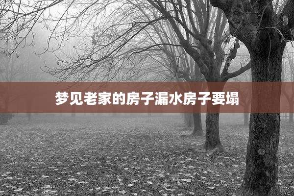梦见老家的房子漏水房子要塌