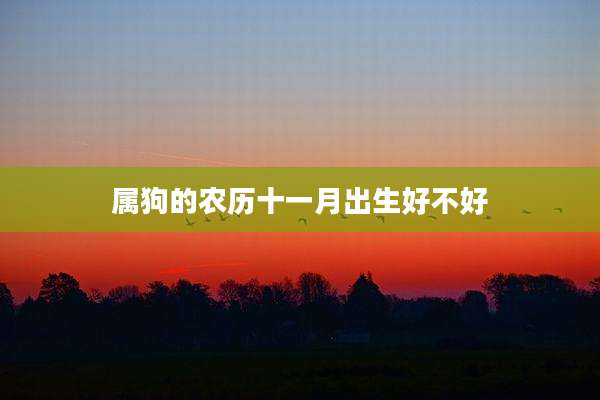 属狗的农历十一月出生好不好