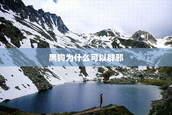 黑狗为什么可以辟邪