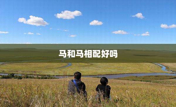 马和马相配好吗