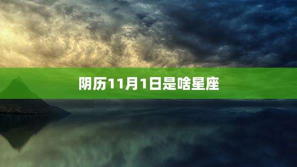 阴历11月1日是啥星座