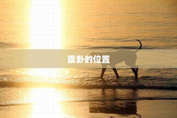 震卦的位置