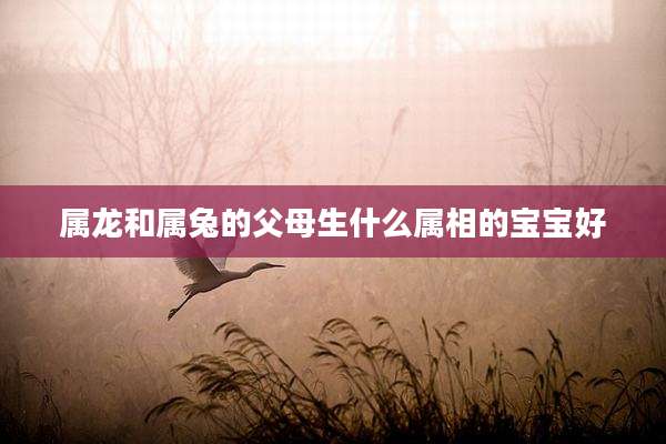 属龙和属兔的父母生什么属相的宝宝好