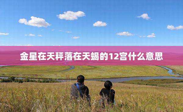 金星在天秤落在天蝎的12宫什么意思