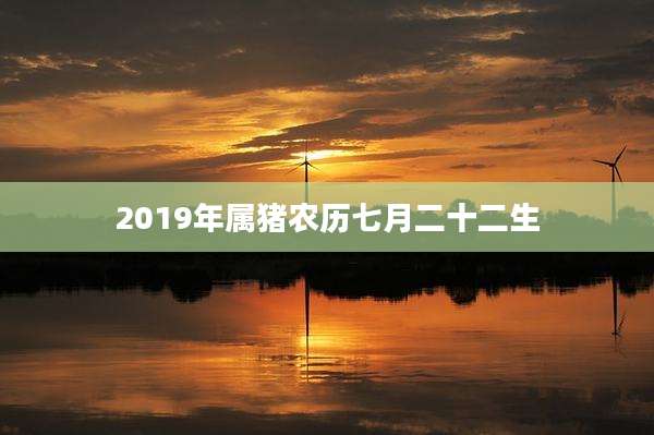 2019年属猪农历七月二十二生