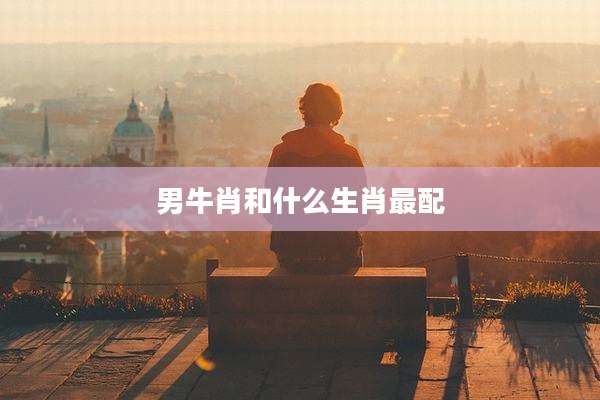 男牛肖和什么生肖最配