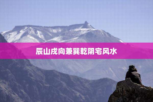辰山戌向兼巽乾阴宅风水