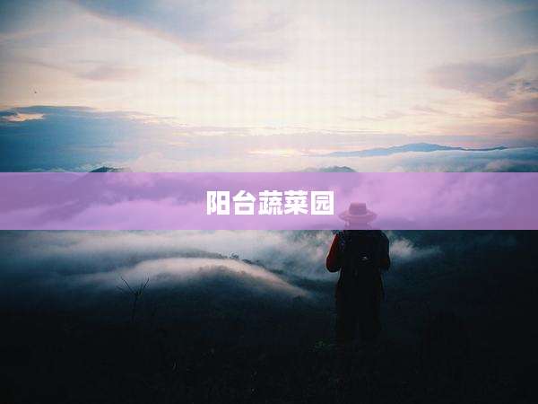 阳台蔬菜园
