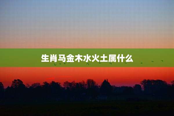 生肖马金木水火土属什么