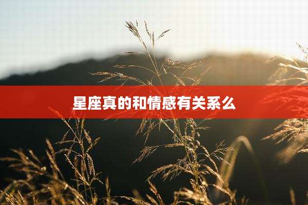 星座真的和情感有关系么