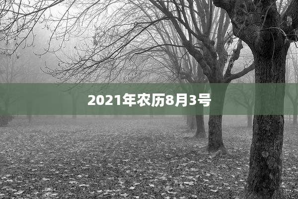 2021年农历8月3号