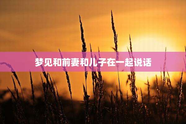 梦见和前妻和儿子在一起说话