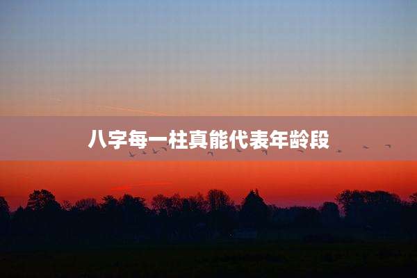 八字每一柱真能代表年龄段