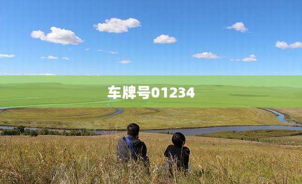 车牌号01234