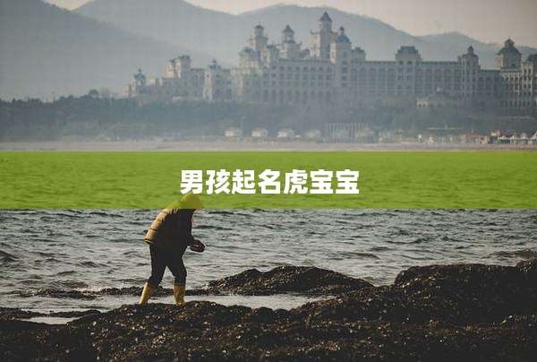 男孩起名虎宝宝