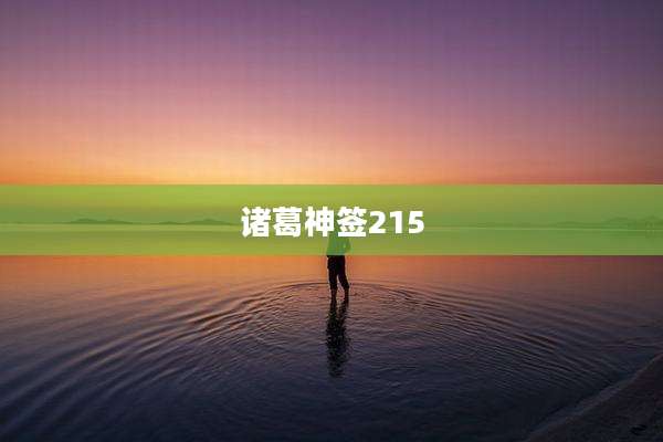 诸葛神签215