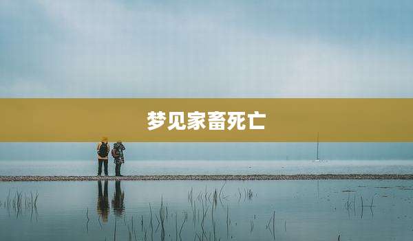 梦见家畜死亡