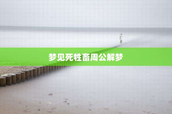 梦见死牲畜周公解梦