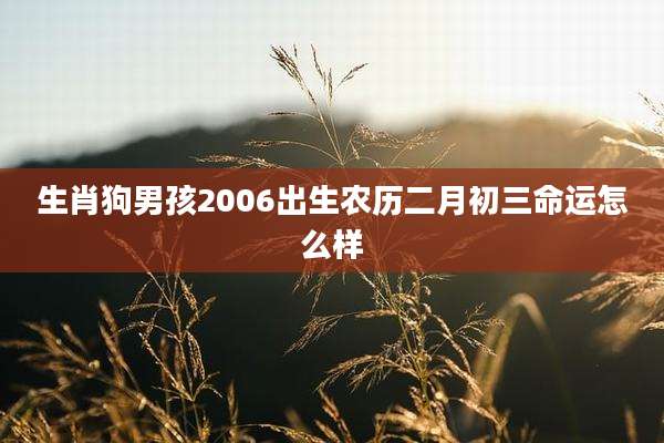 生肖狗男孩2006出生农历二月初三命运怎么样