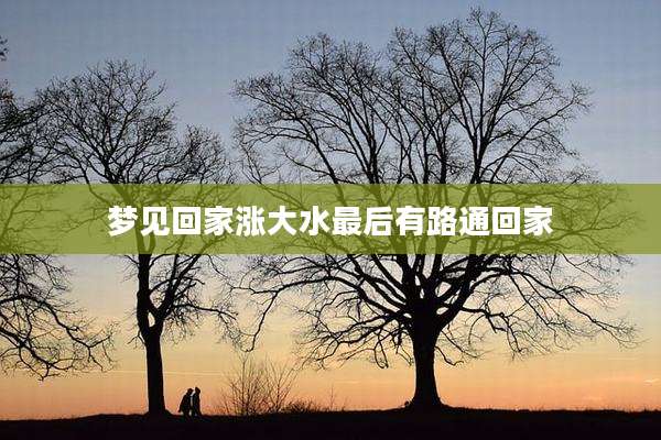 梦见回家涨大水最后有路通回家