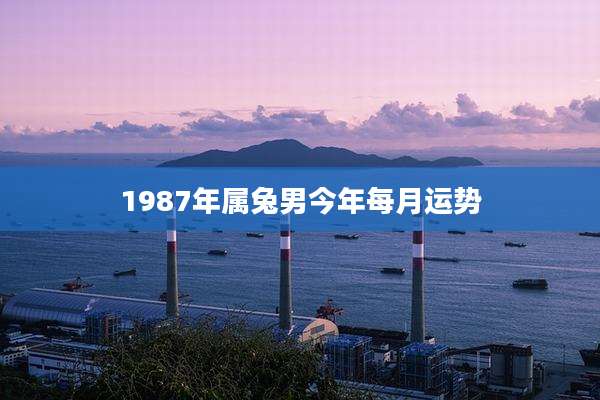 1987年属兔男今年每月运势