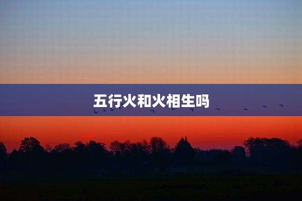 五行火和火相生吗