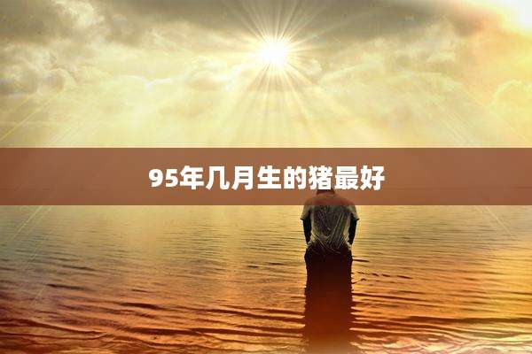 95年几月生的猪最好
