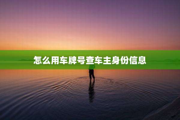 怎么用车牌号查车主身份信息
