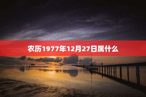农历1977年12月27日属什么