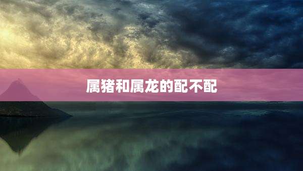 属猪和属龙的配不配