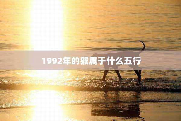 1992年的猴属于什么五行