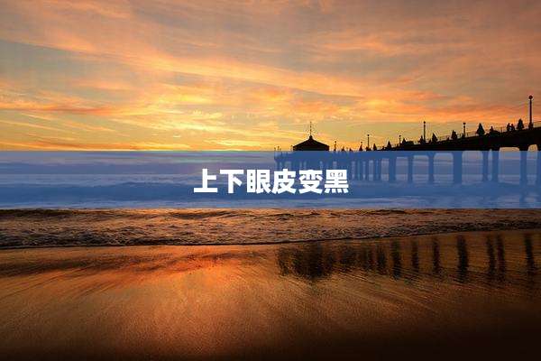 上下眼皮变黑