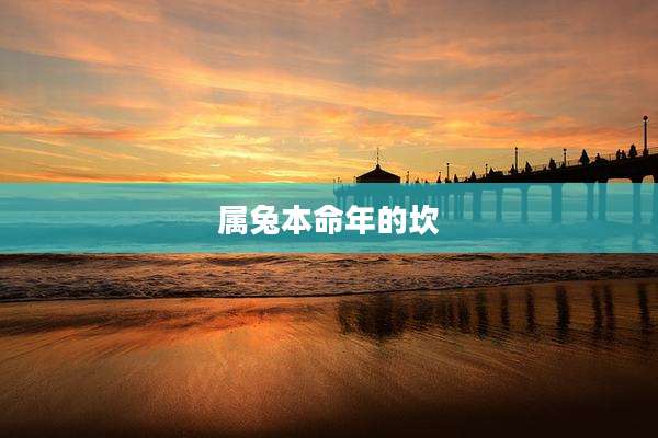 属兔本命年的坎